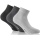 Rohner Day Sock Sneaker Basic Plus light grey/grey/dark grey 3-pack